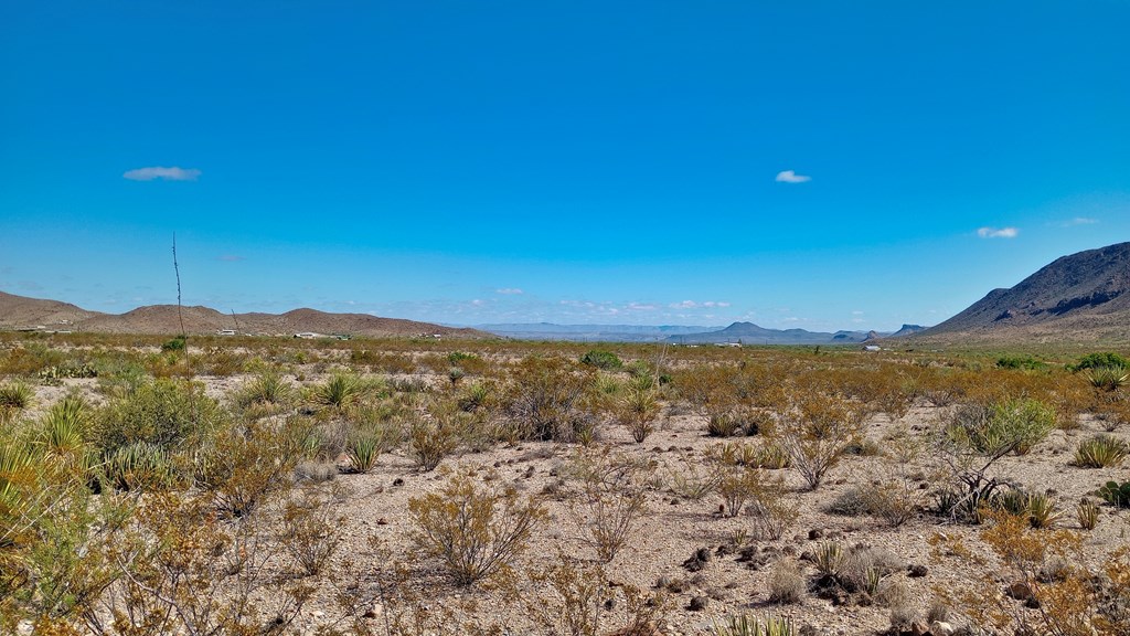 Terlingua Ranch Rd, Terlingua, Texas image 6