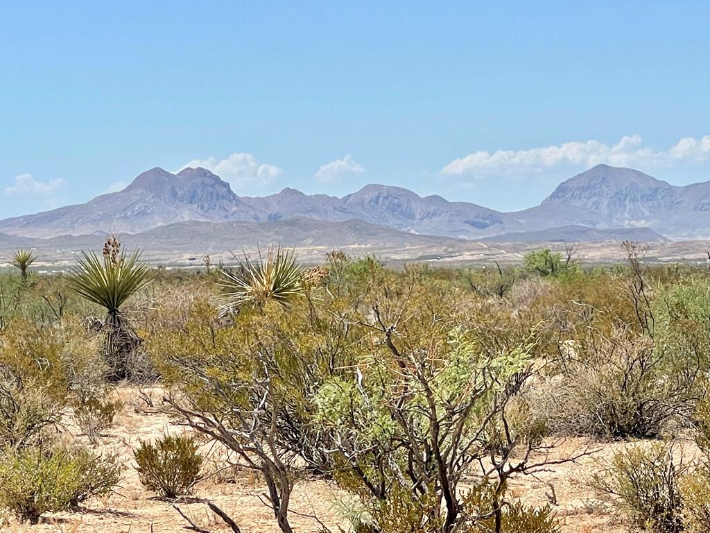 G553 Dean St, Terlingua, Texas image 1