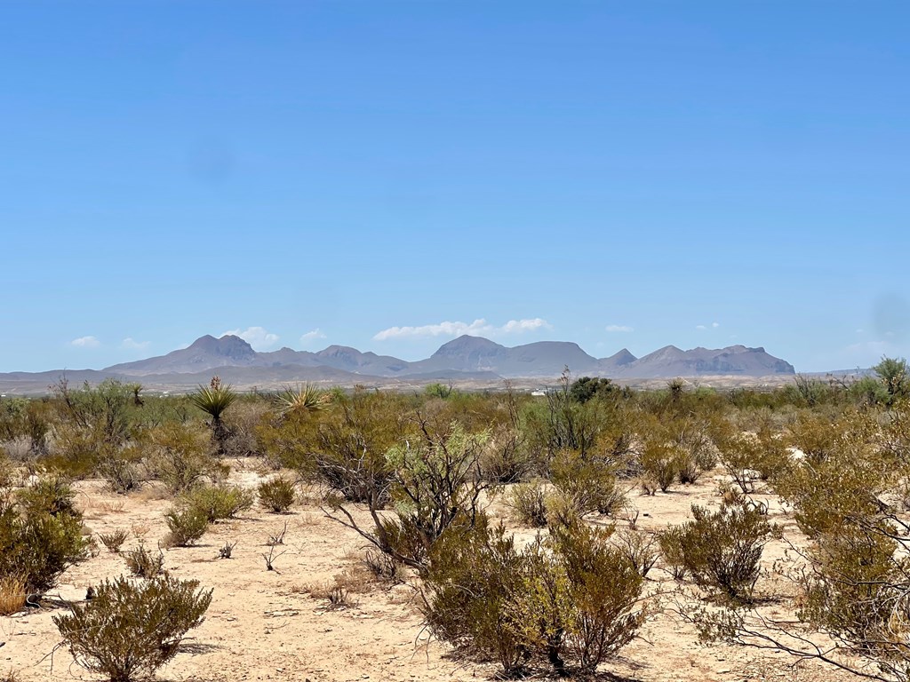 G553 Dean St, Terlingua, Texas image 5