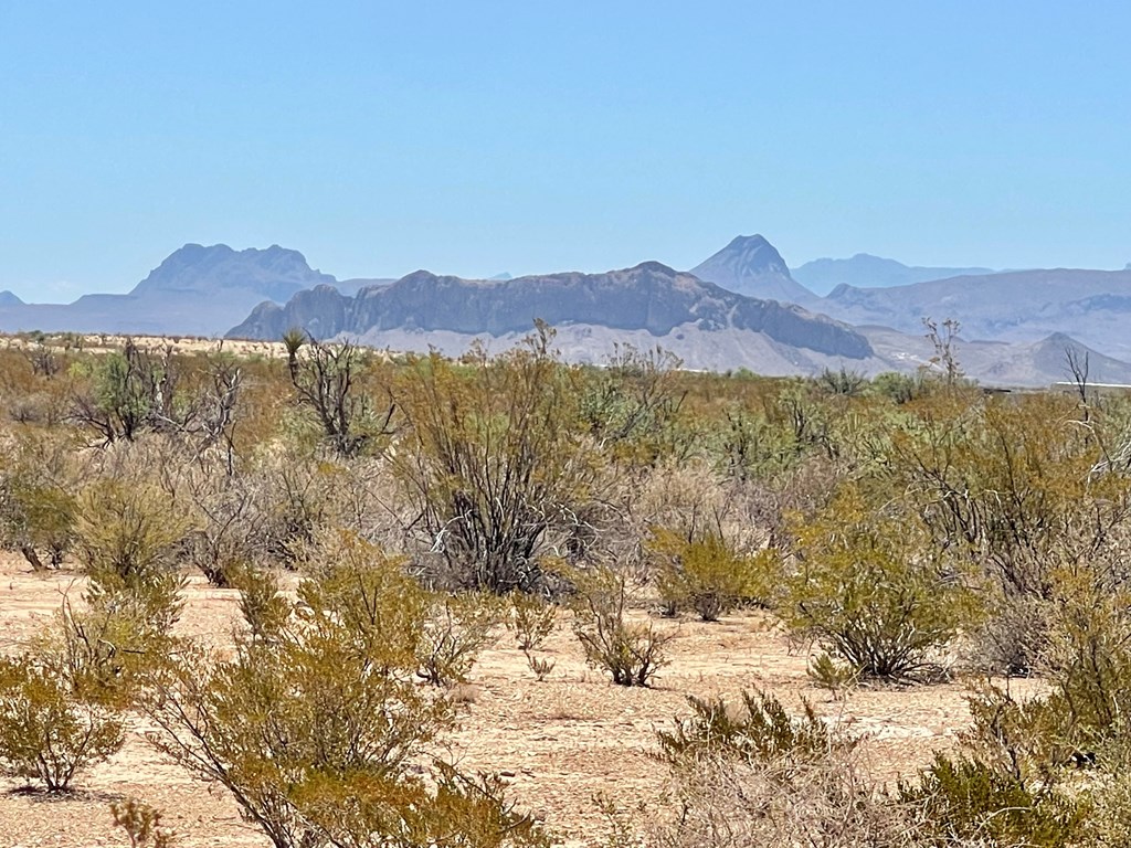 G553 Dean St, Terlingua, Texas image 2