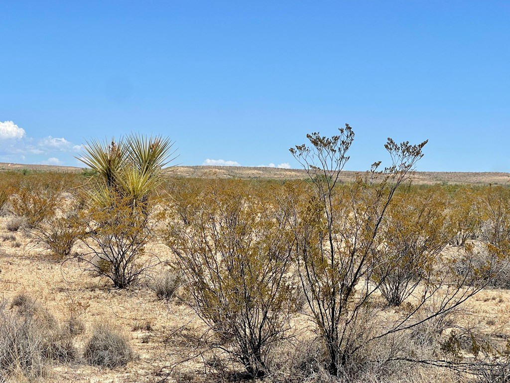 G553 Dean St, Terlingua, Texas image 7