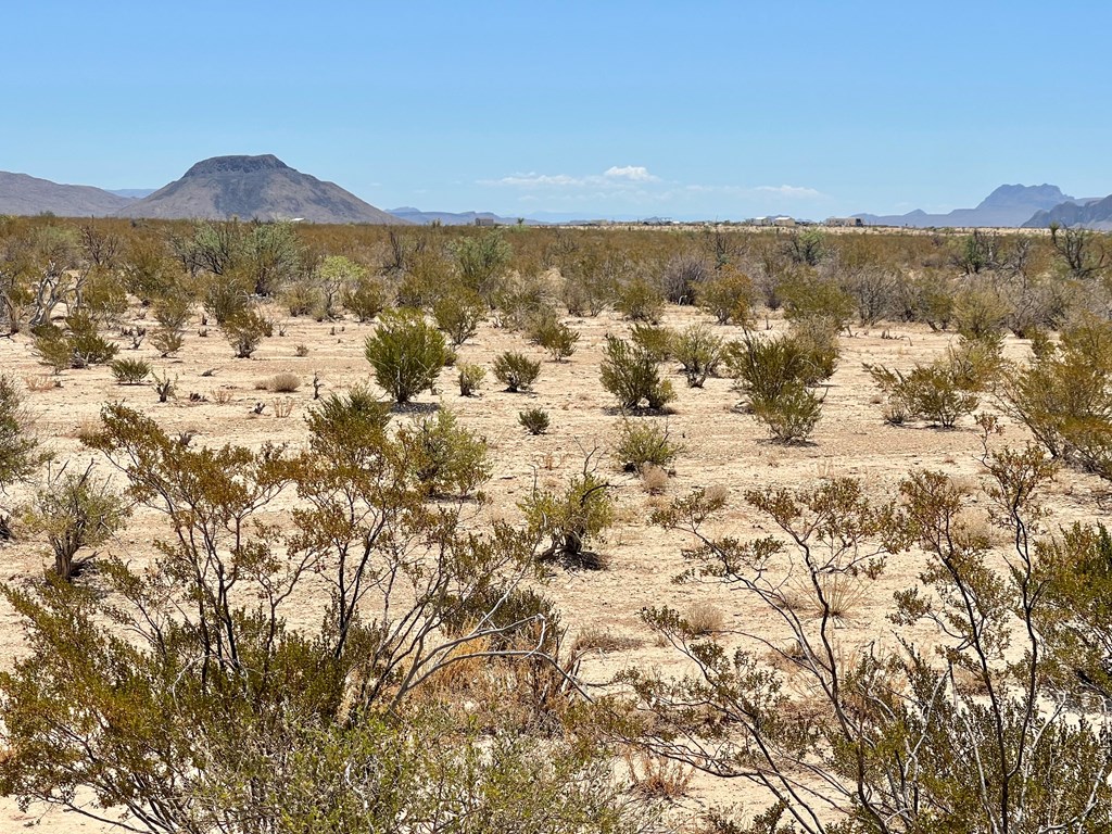 G553 Dean St, Terlingua, Texas image 3