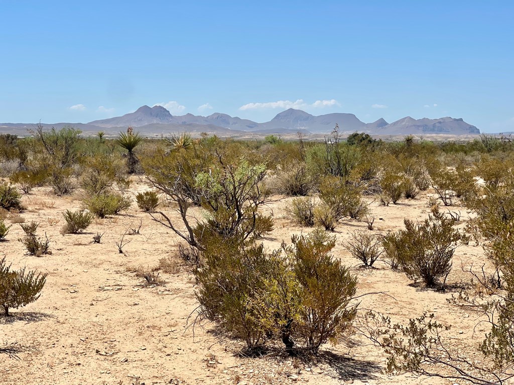 G553 Dean St, Terlingua, Texas image 4