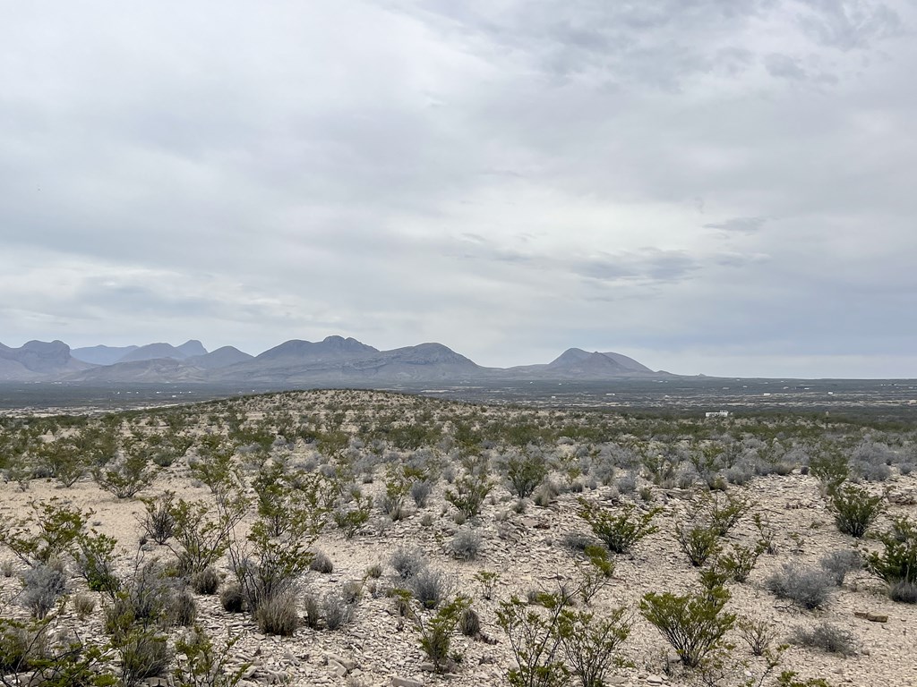 TR NC556 E Helt Dr, Terlingua, Texas image 8