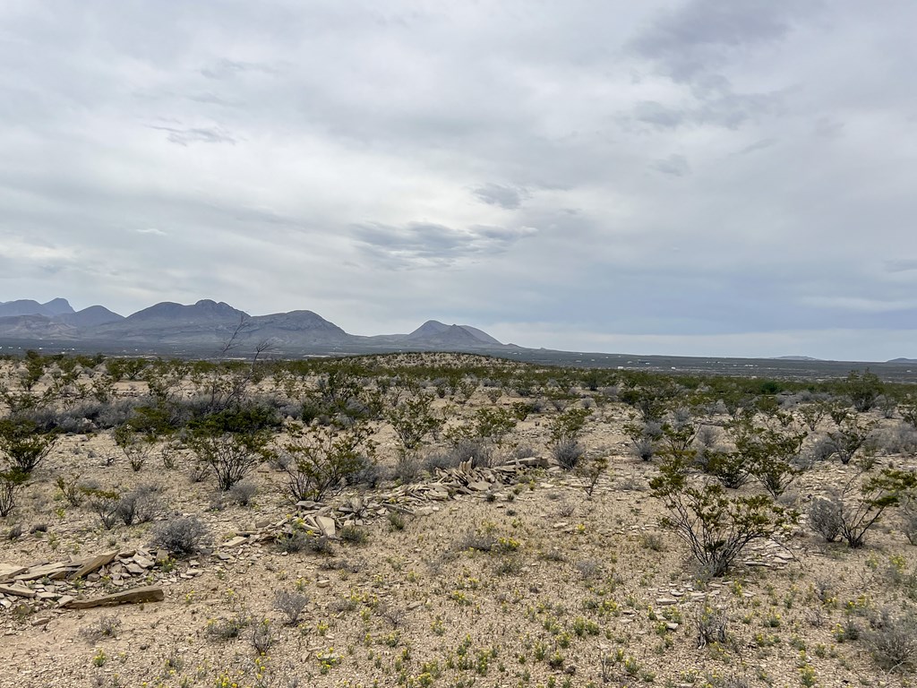 TR NC556 E Helt Dr, Terlingua, Texas image 4