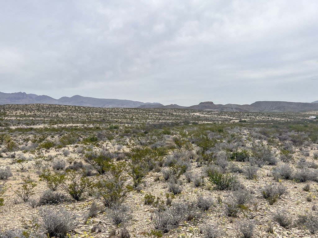 TR NC556 E Helt Dr, Terlingua, Texas image 9