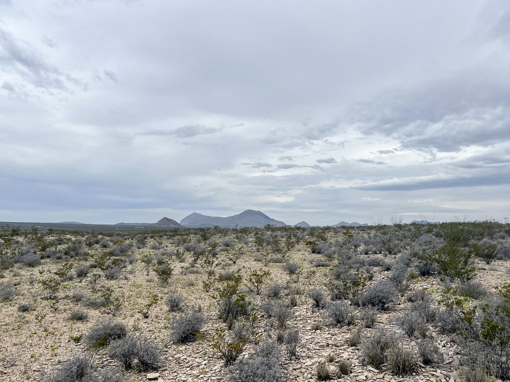 TR NC556 E Helt Dr, Terlingua, Texas image 6