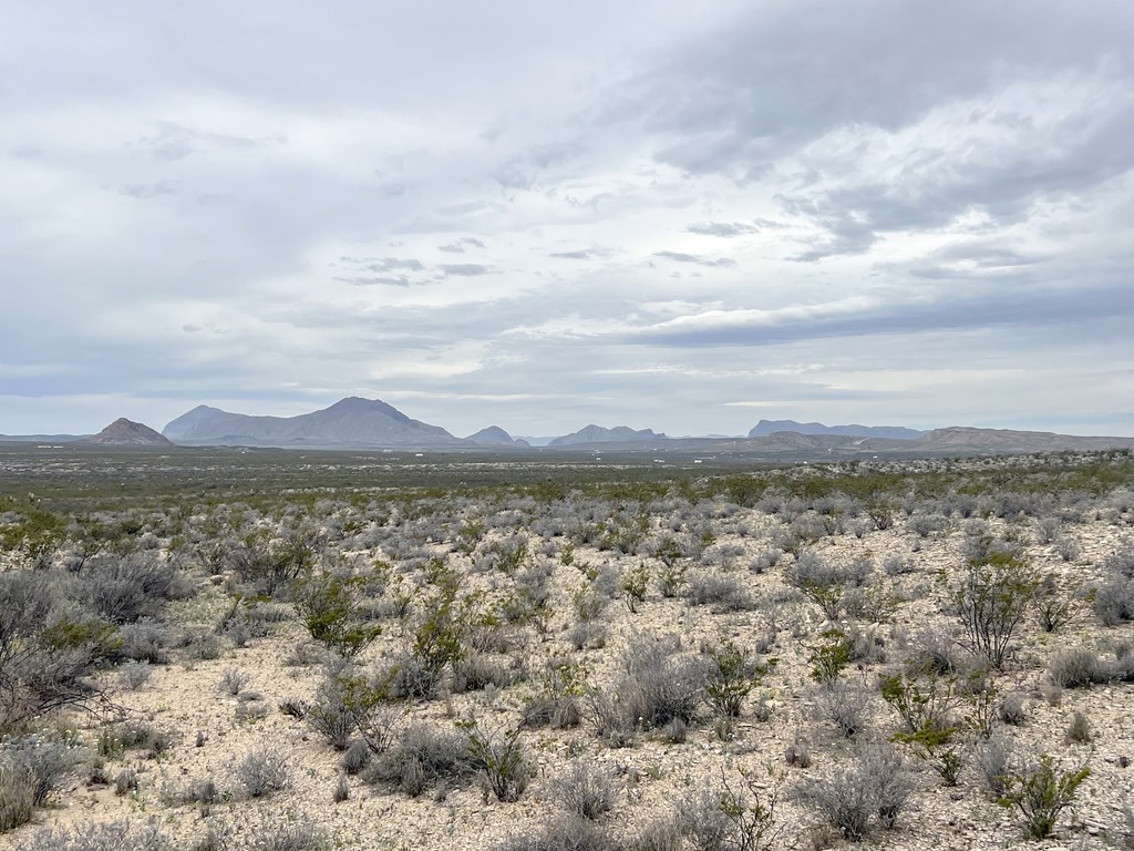 TR NC556 E Helt Dr, Terlingua, Texas image 7