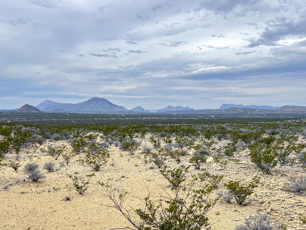 TR NC556 E Helt Dr, Terlingua, Texas image 3