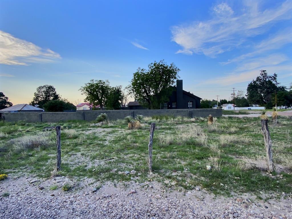 307 N Mesa St, Marfa, Texas image 21