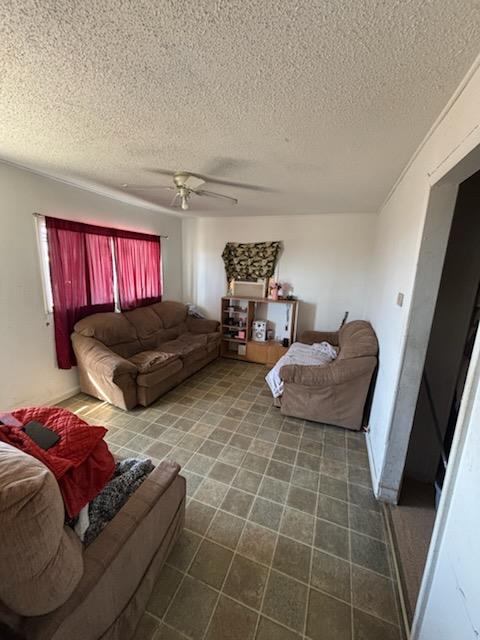 4130 N Water, Fort Stockton, Texas image 14