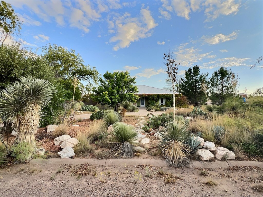 703 W Fourth Street, Marfa, Texas image 33