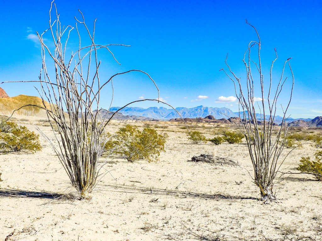 Tract 5 Dark Canyon Loop, Terlingua, Texas image 19