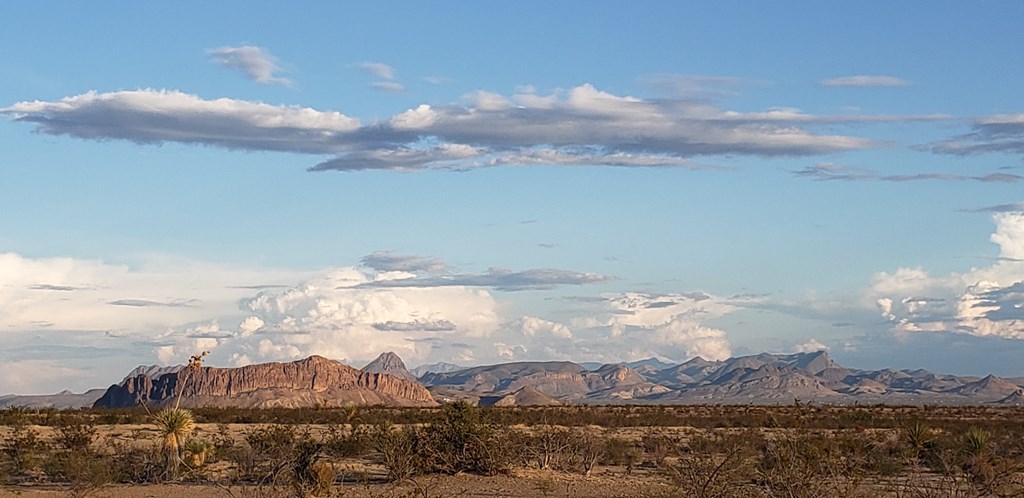 540 Martinez Rd, Terlingua, Texas image 38