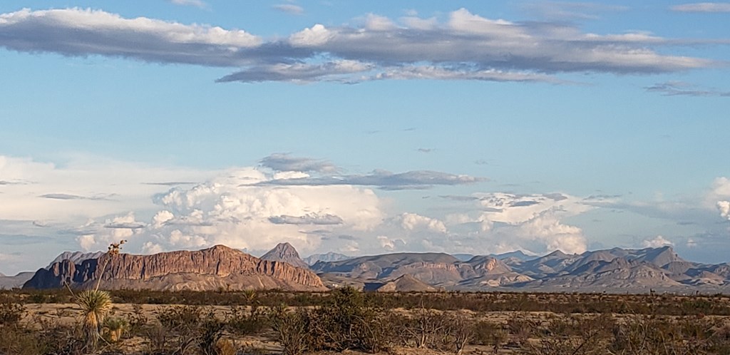 540 Martinez Rd, Terlingua, Texas image 24