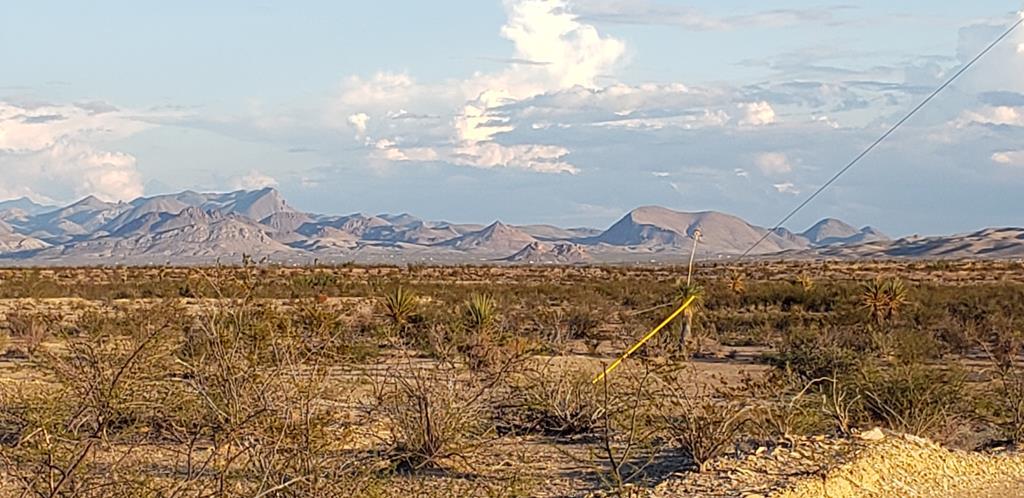 540 Martinez Rd, Terlingua, Texas image 4