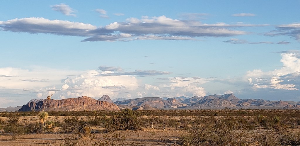 540 Martinez Rd, Terlingua, Texas image 42