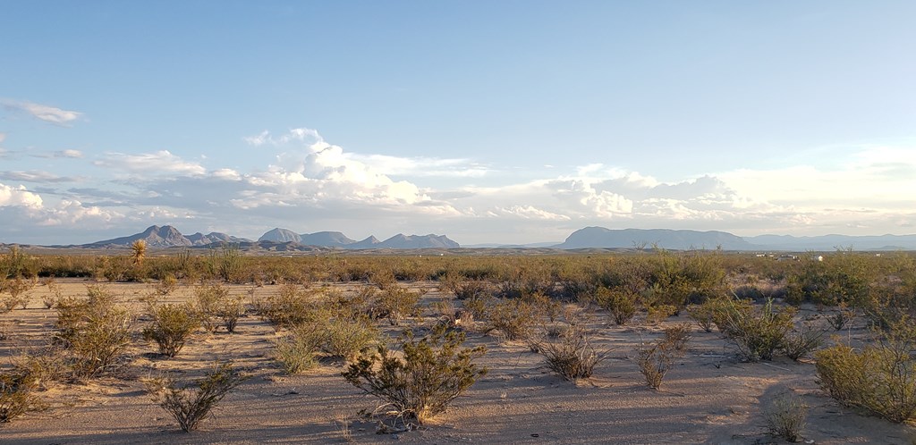 540 Martinez Rd, Terlingua, Texas image 36