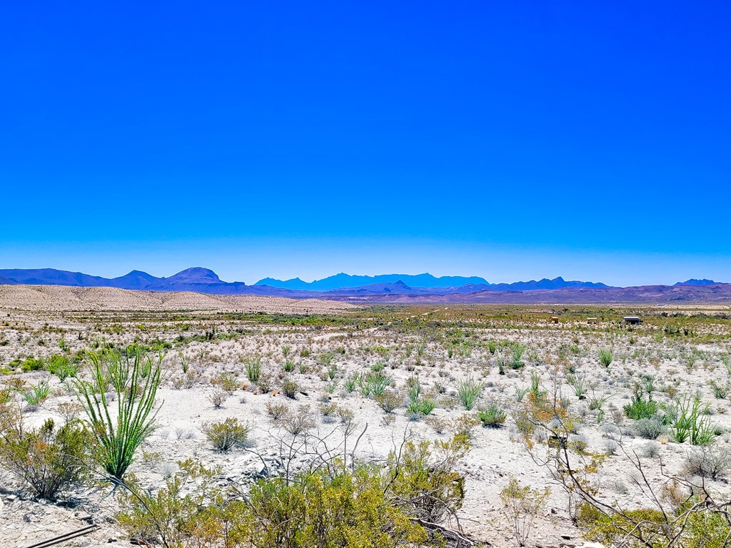 20962 Nowlin, Terlingua, Texas image 13