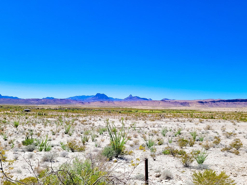 20962 Nowlin, Terlingua, Texas image 14