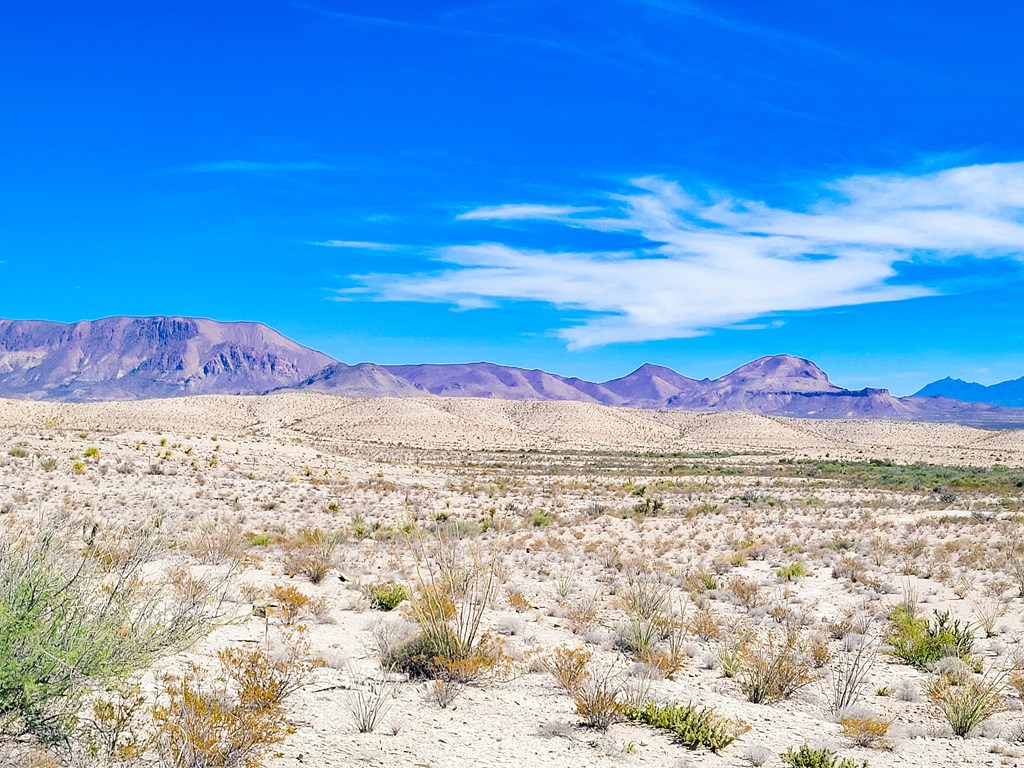 20962 Nowlin, Terlingua, Texas image 11