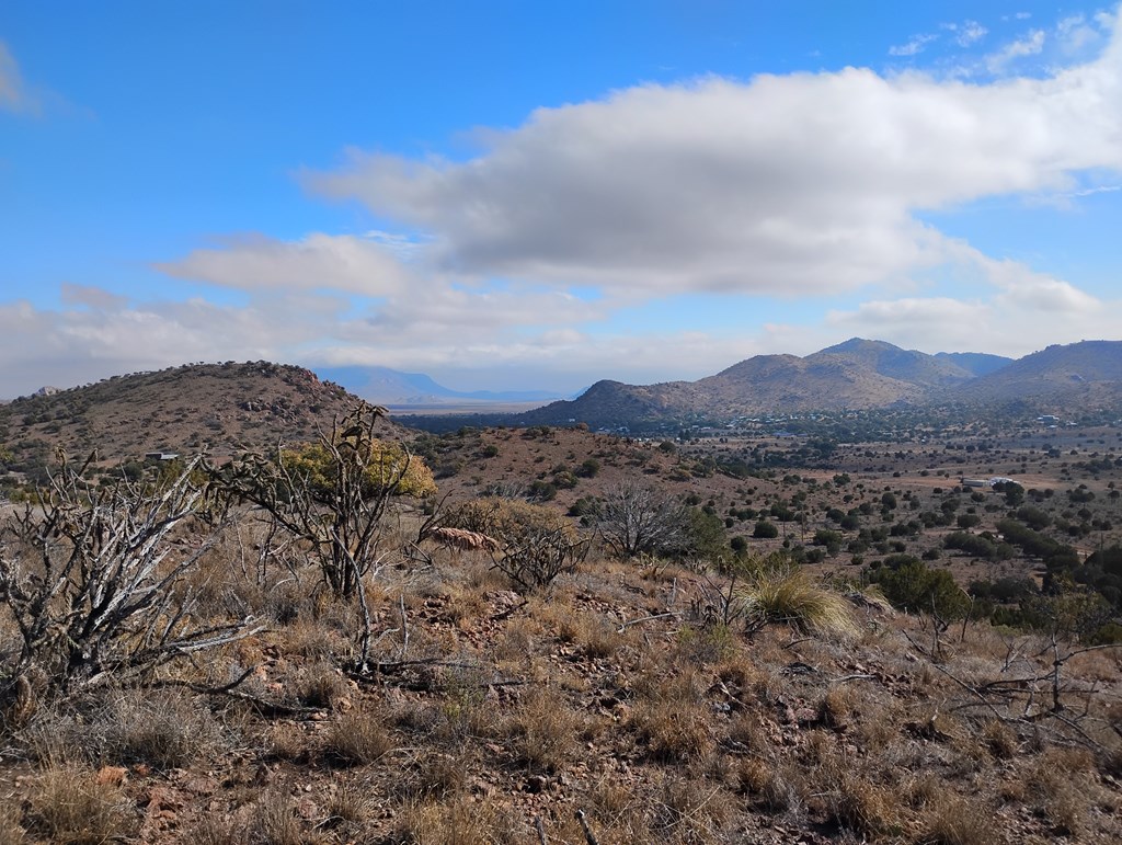 104 Oakridge Dr, Fort Davis, Texas image 16