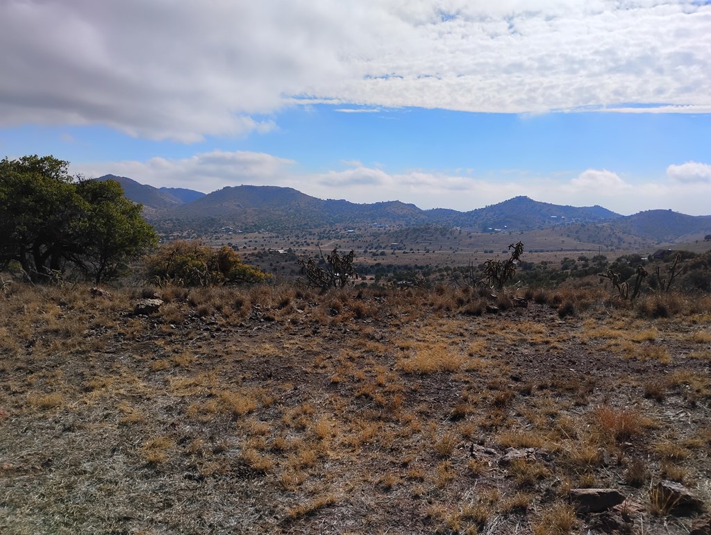 104 Oakridge Dr, Fort Davis, Texas image 9