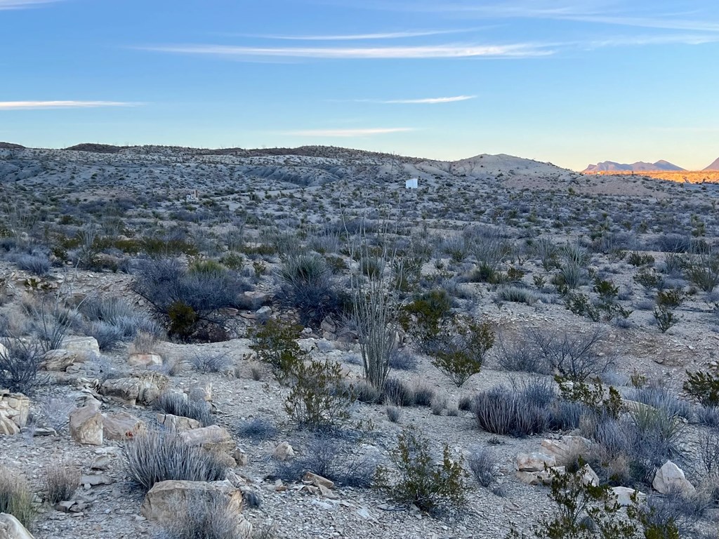 26503 Hermans Peak Rd, Terlingua, Texas image 4