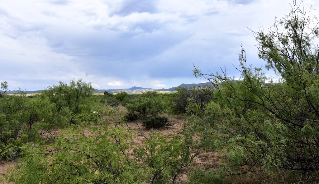 406 Sagebrush Road, Alpine, Texas image 5