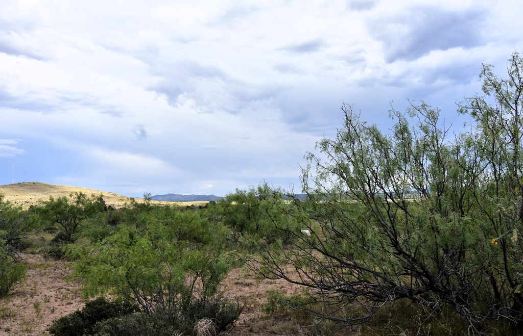 406 Sagebrush Road, Alpine, Texas image 3