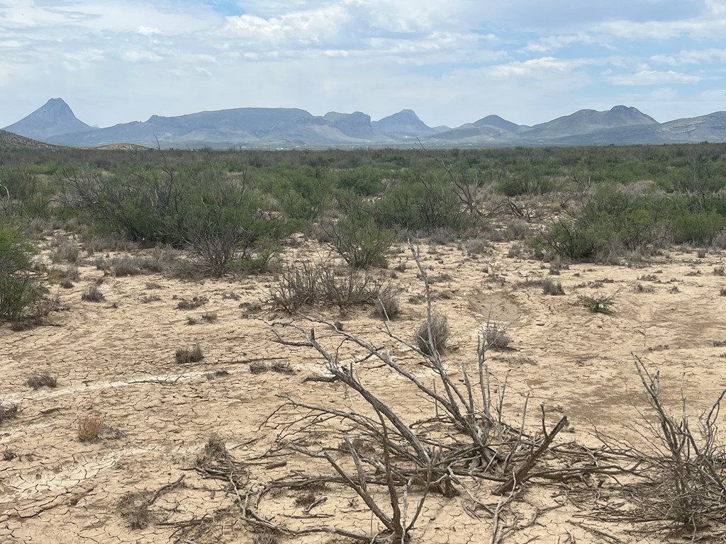 15434 Arlington St, Terlingua, Texas image 6