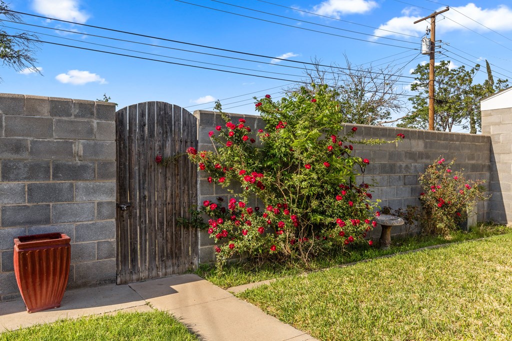 3833 Candy Lane, Odessa, Texas image 28
