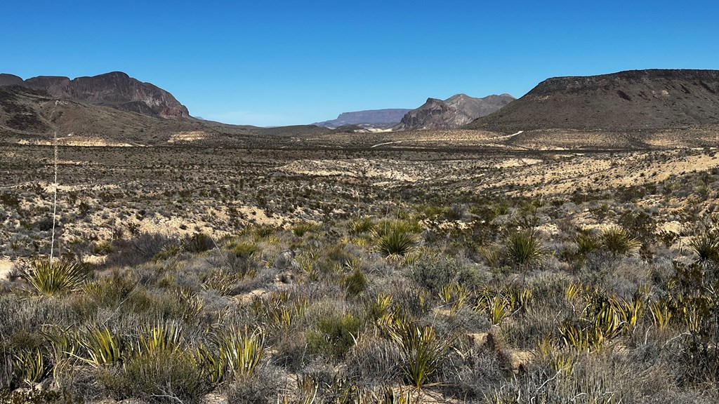 24387 Echo S. Rd, Terlingua, Texas image 8