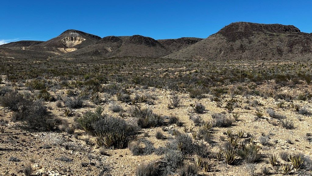 24387 Echo S. Rd, Terlingua, Texas image 14