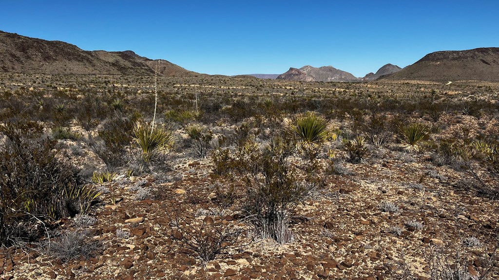 24387 Echo S. Rd, Terlingua, Texas image 11