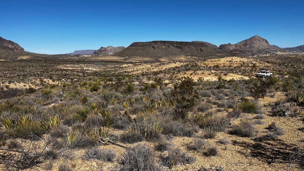 24387 Echo S. Rd, Terlingua, Texas image 4