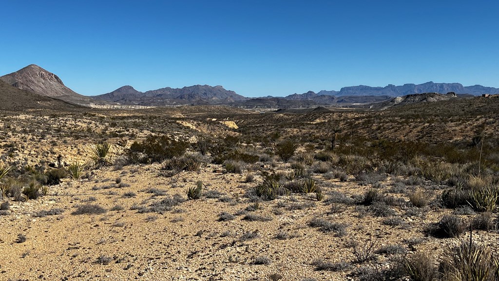 24387 Echo S. Rd, Terlingua, Texas image 12