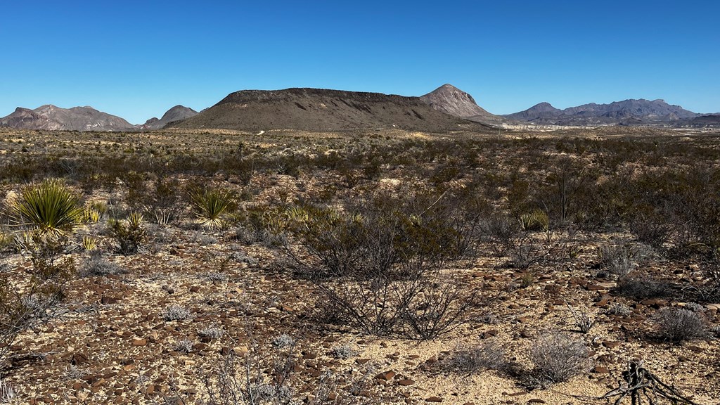 24387 Echo S. Rd, Terlingua, Texas image 10