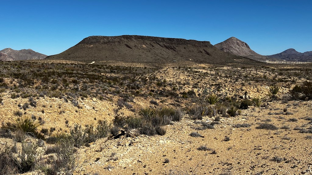 24387 Echo S. Rd, Terlingua, Texas image 13