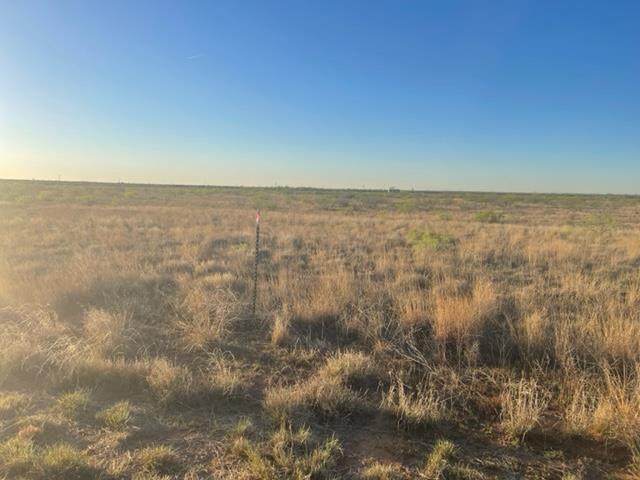 0000 N County Rd 1040, Midland, Texas image 5