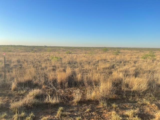 0000 N County Rd 1040, Midland, Texas image 3