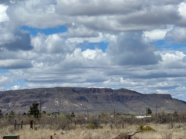 412 Sagebrush Rd, Alpine, Texas image 14