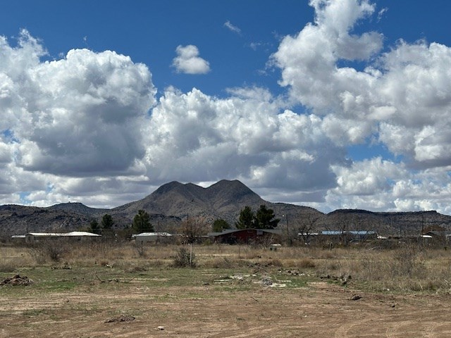 412 Sagebrush Rd, Alpine, Texas image 13