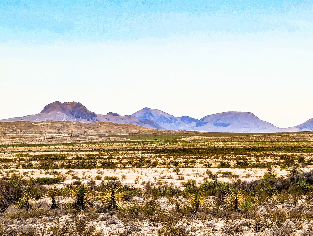 1255 S Martinez Rd, Pecos, Texas image 2