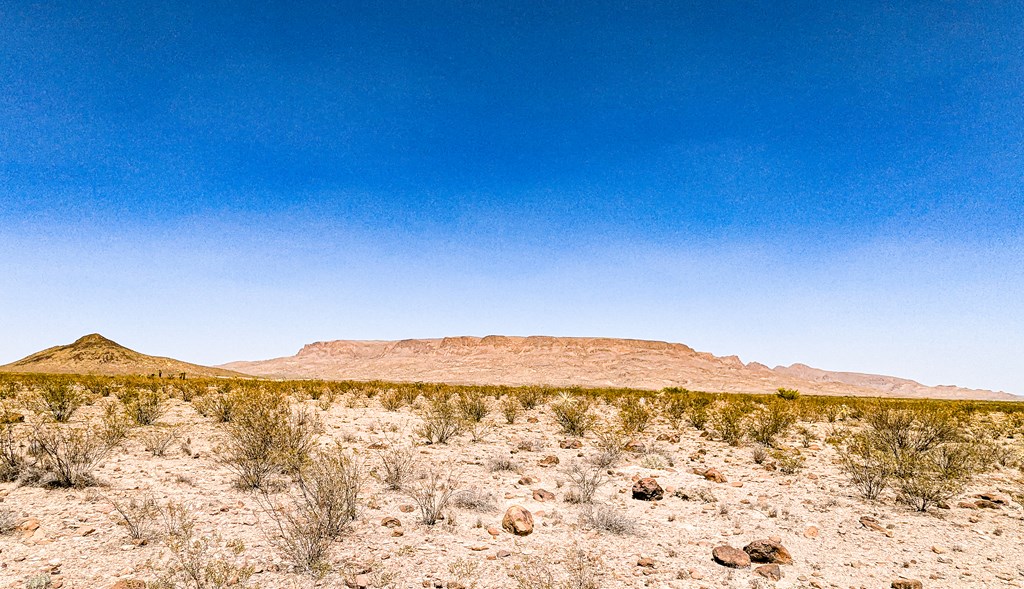 1255 S Martinez Rd, Pecos, Texas image 5
