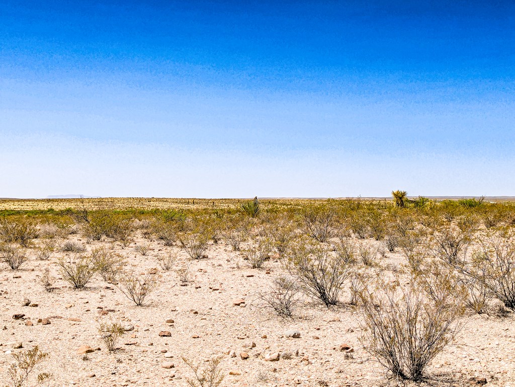1255 S Martinez Rd, Pecos, Texas image 10