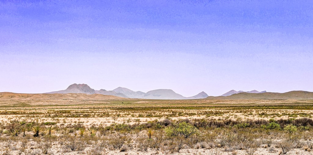 1255 S Martinez Rd, Pecos, Texas image 7