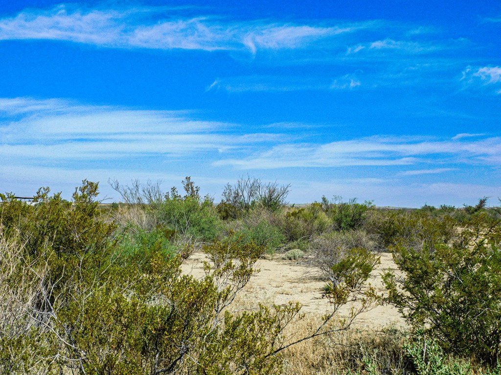 91 Black Hill Rd, Terlingua, Texas image 10