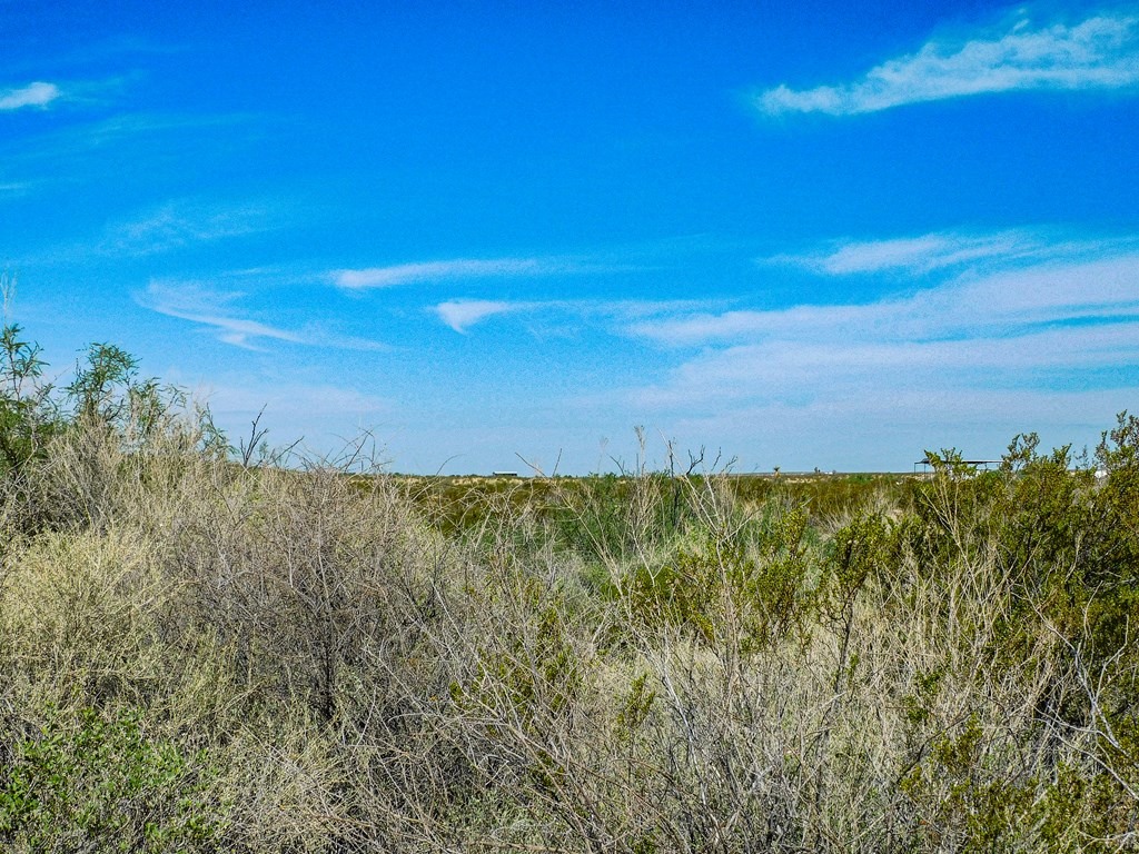 91 Black Hill Rd, Terlingua, Texas image 11