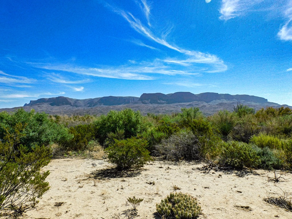 91 Black Hill Rd, Terlingua, Texas image 6